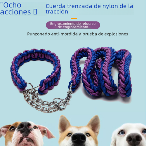 Cross-border Wholesale Woven Dog Collar Dog Chain Anti-impact Explosion P Chain Pet Traction Belt Eight Strand Nylon Traction Rope Dog Rope